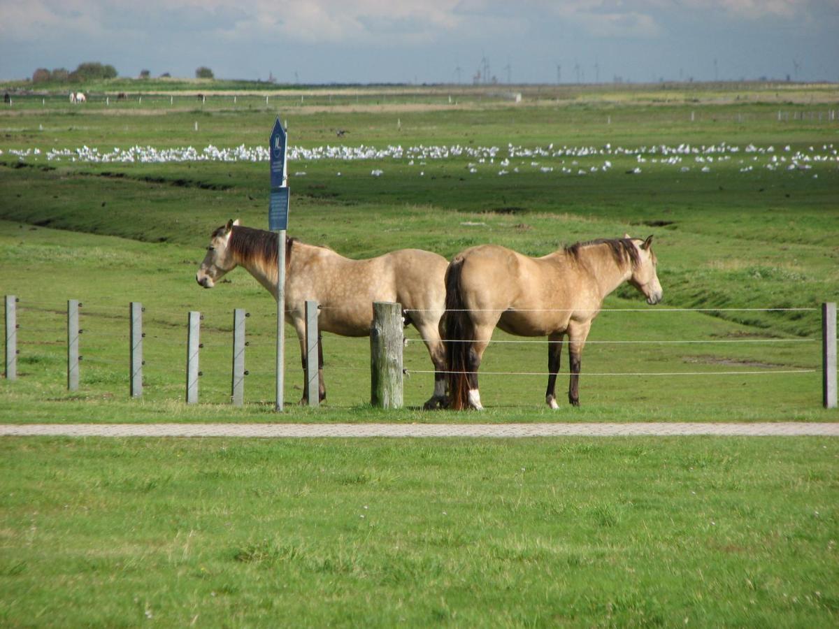 Seevilla Wietjes Whg 5 Baltrum Extérieur photo